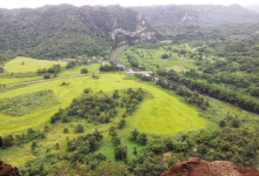 Bosque Estatal de Río Abajo景点图片