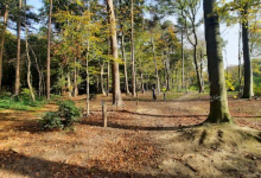 Parcours santé du bois de la Vecqueé景点图片