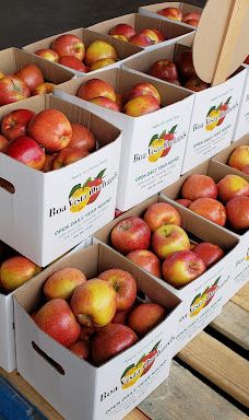 苹果山-埃尔多拉多县