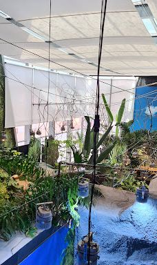 奥尼里亚水族馆-卡内普拉日