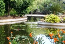 Jingili Water Gardens景点图片
