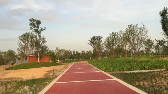 陝西富平莊裡石川河國家濕地公園