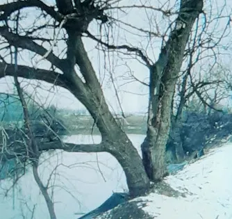 泡沫河