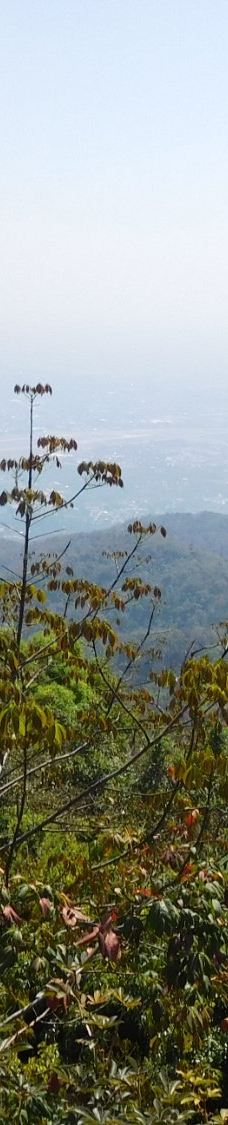 素贴山国家公园-清迈