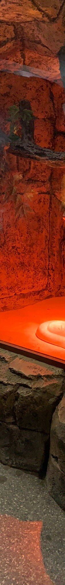 Deniz Dunyasi-安卡拉