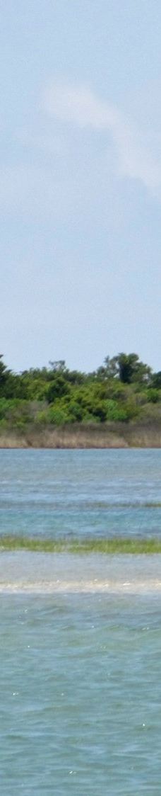 Cedar Island National Wildlife Refuge-拉合尔