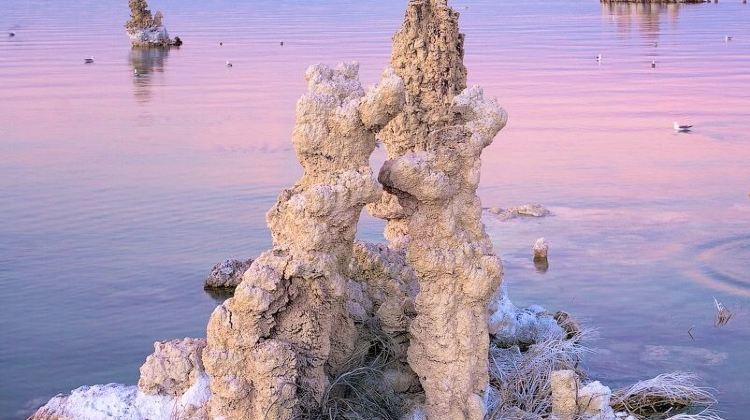 3-Day California Adventure Tour from Los Angeles·Kings Canyon National Park, Lake Tahoe & Alabama Hills