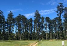 Oxley Creek Common景点图片