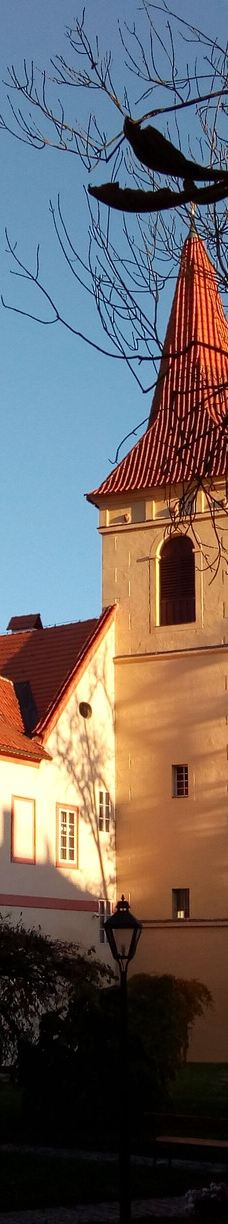 方济会修道院-克鲁姆洛夫