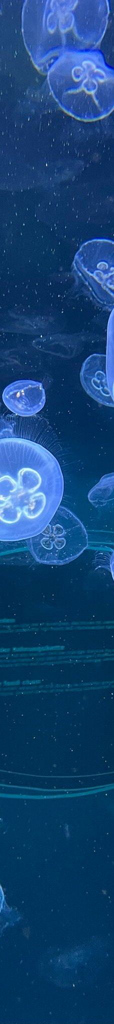 北海博物馆-希茨海尔斯