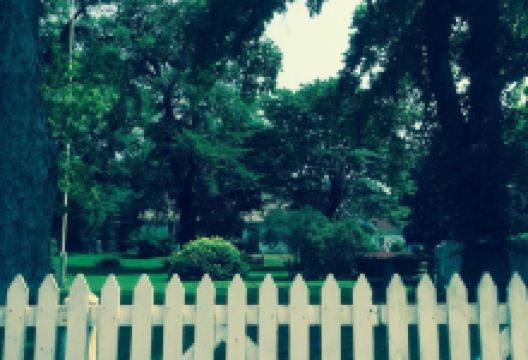 Perkins House Museum景点图片