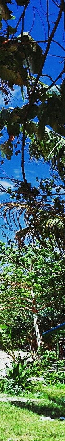 Base-G Beach-查亚普拉