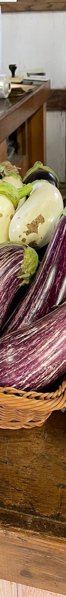 Davis Family Farm-本顿县