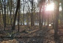 Mass Audubon's Rocky Hill Wildlife Sanctuary景点图片