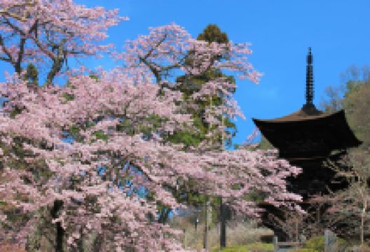 大法寺景点图片