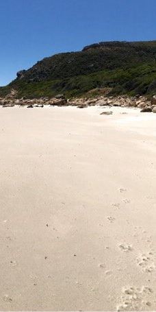 Llandudno Beach-兰迪德诺