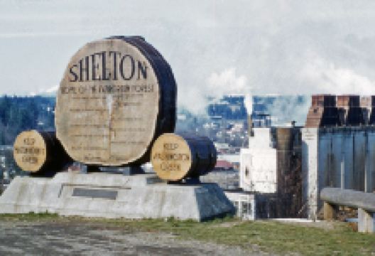 Mason County Historical Museum景点图片