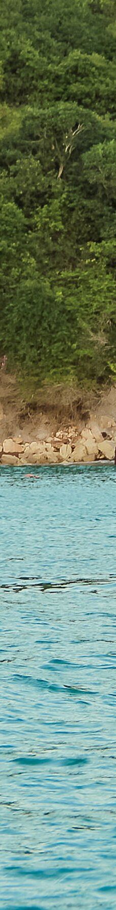 Jangalancha Show-纳塔尔