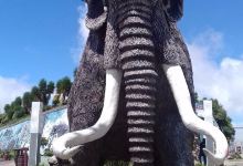 Museo Paleontologico de Bolivar - Carchi景点图片