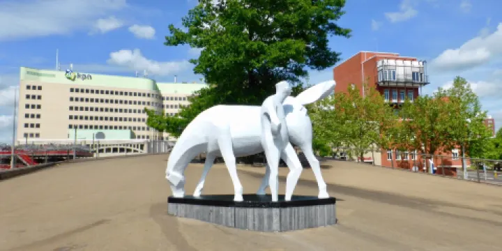 'Peerd van Ome Loeks'