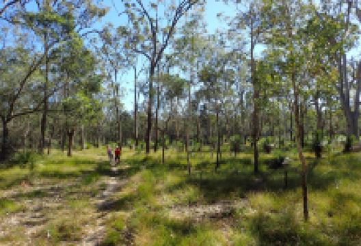 Freshwater National Park景点图片