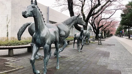 十和田市民図書館