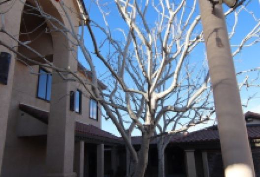 Calvary Chapel of the High Desert景点图片