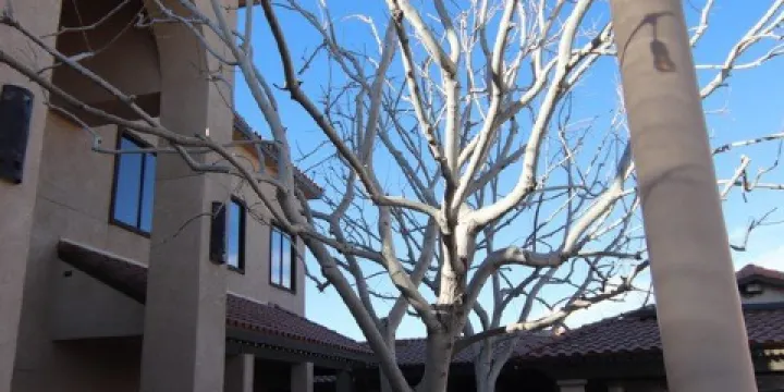 Calvary Chapel of the High Desert