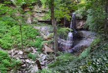 Webwood Falls Nature Reserve景点图片