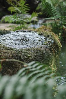 SHIMOSONO MYOUKEN SAMA mountain spring water-玖珠町