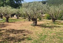 Guillaume REY景点图片