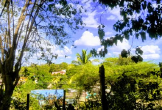 Parque La Libertad景点图片