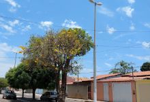 Christian Congregation in Brazil景点图片
