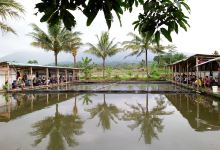 Kolam Pemancingan GNR景点图片