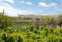 Suffolk Plant Centre购物图片