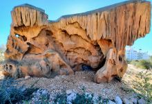 Parque Arqueológico del Mediterráneo景点图片