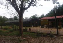 Kemasul Recreational Forest景点图片