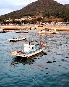 Yeosu Paragliding-丽水