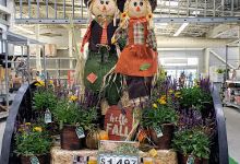 Walmart Garden Center购物图片