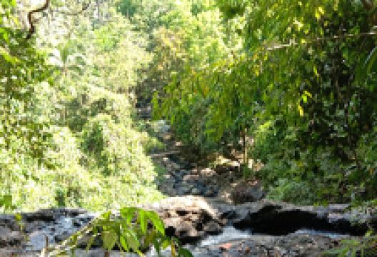 Binuang Waterfalls景点图片