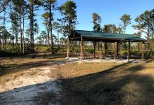 Shingle Creek Trail: Pine Island East Loop景点图片