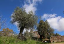Ruins of Beltraneja's castle景点图片