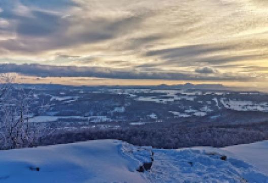 Decinsky Sneznik美食图片
