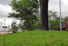 Praça Novo Tempo景点图片