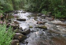 Siiponjoki nature trail景点图片