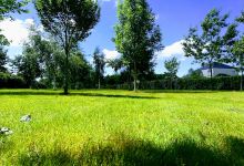 Parc des Clairais景点图片