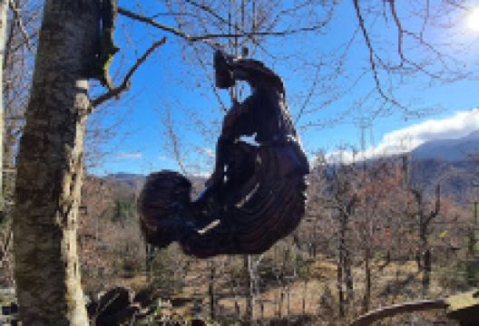 Museo nel Cimitero景点图片