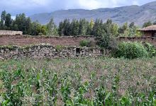 Pared de Piedra Inca景点图片