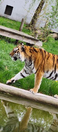 Öland Zoo and Amusement Park-默尔比隆阿