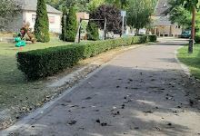 Játszó és edző park景点图片